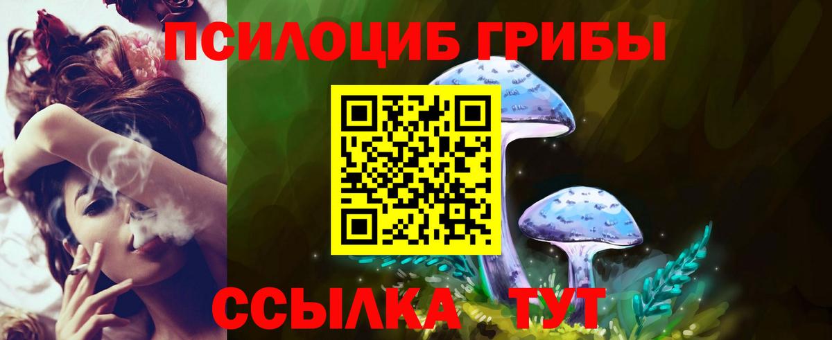 Галлюциногенные грибы GOLDEN TEACHER  Вход с VPN  Лосино-Петровский 